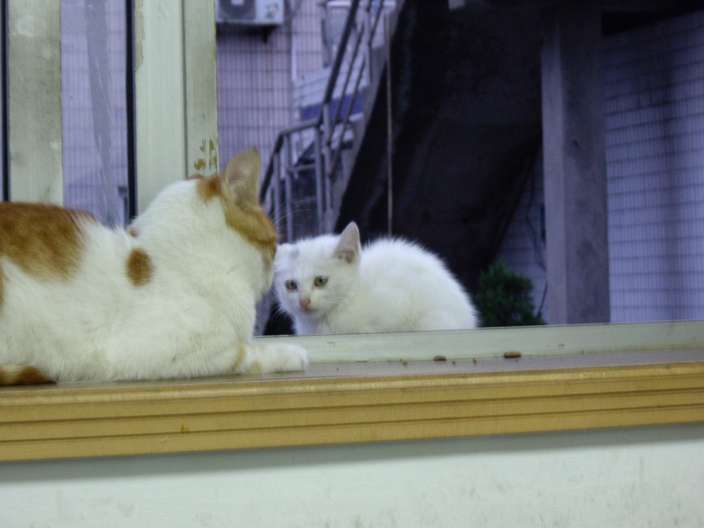IMGP5459.JPG