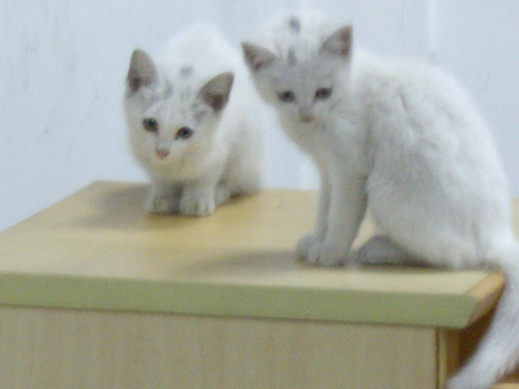 IMGP5491.JPG