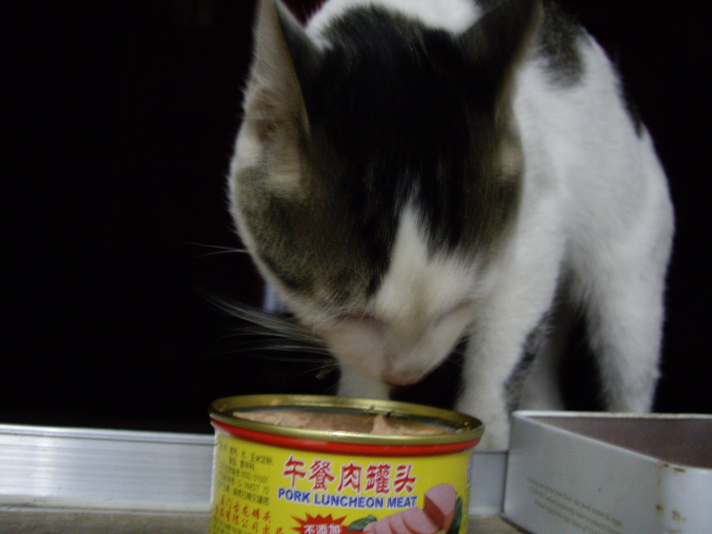 IMGP5736.JPG